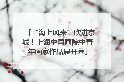 “海上风来”吹进京城！上海中国画院中青年画家作品展开幕
